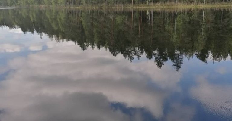 1224